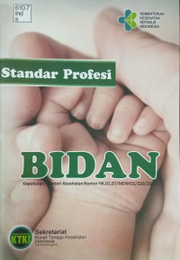 Standar Profesi Bidan